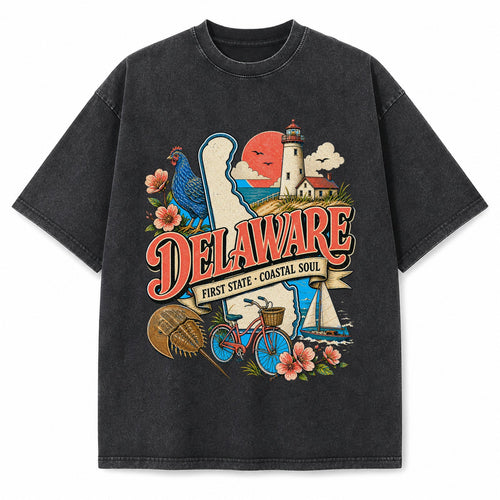 Colorful Delaware State Collage Washed Vintage T-Shirt in Black, front view on a white background