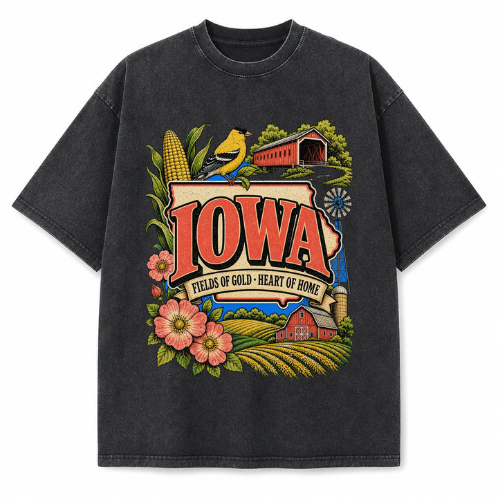 Colorful Iowa State Collage Washed Vintage T-Shirt in Black, front view on a white background