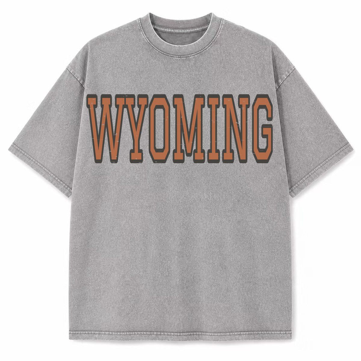 Wyoming Collegiate Letter washed vintage heavyweight T-shirt in Light Gray