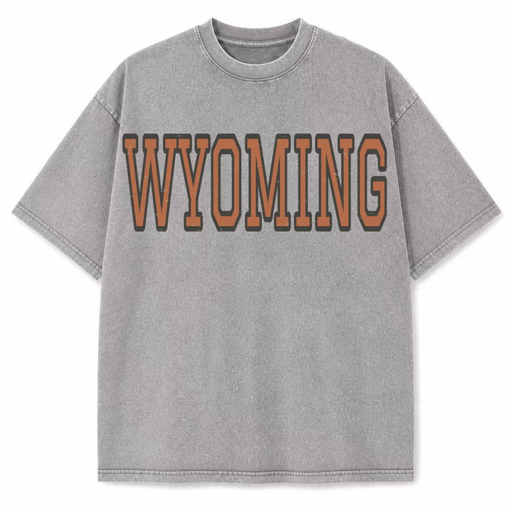 Wyoming Collegiate Letter washed vintage heavyweight T-shirt in Light Gray